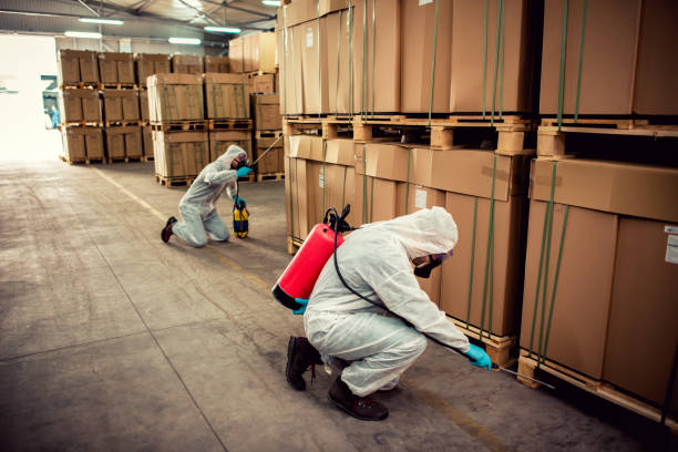 Best Best Pest Control Companies  in Paintsville, KY