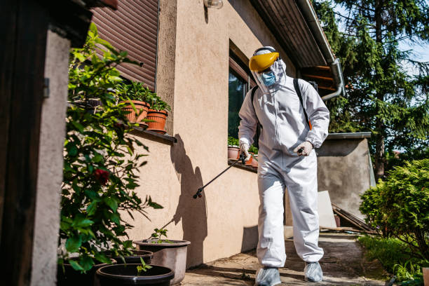 Best Affordable Pest Control Services  in Paintsville, KY