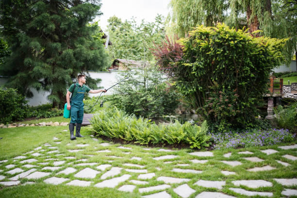 Best Affordable Pest Control Services  in Paintsville, KY