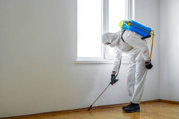 Best Best Pest Control Companies  in Paintsville, KY