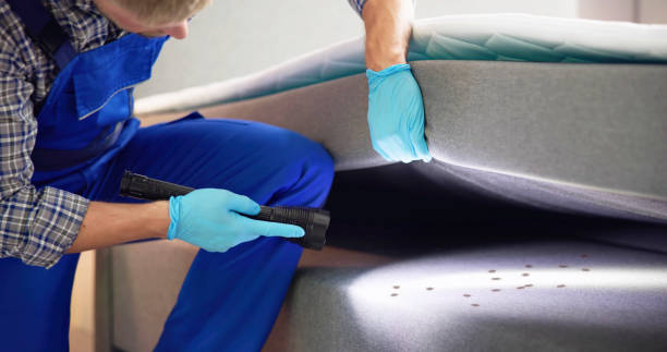 Best Residential Pest Control  in Paintsville, KY